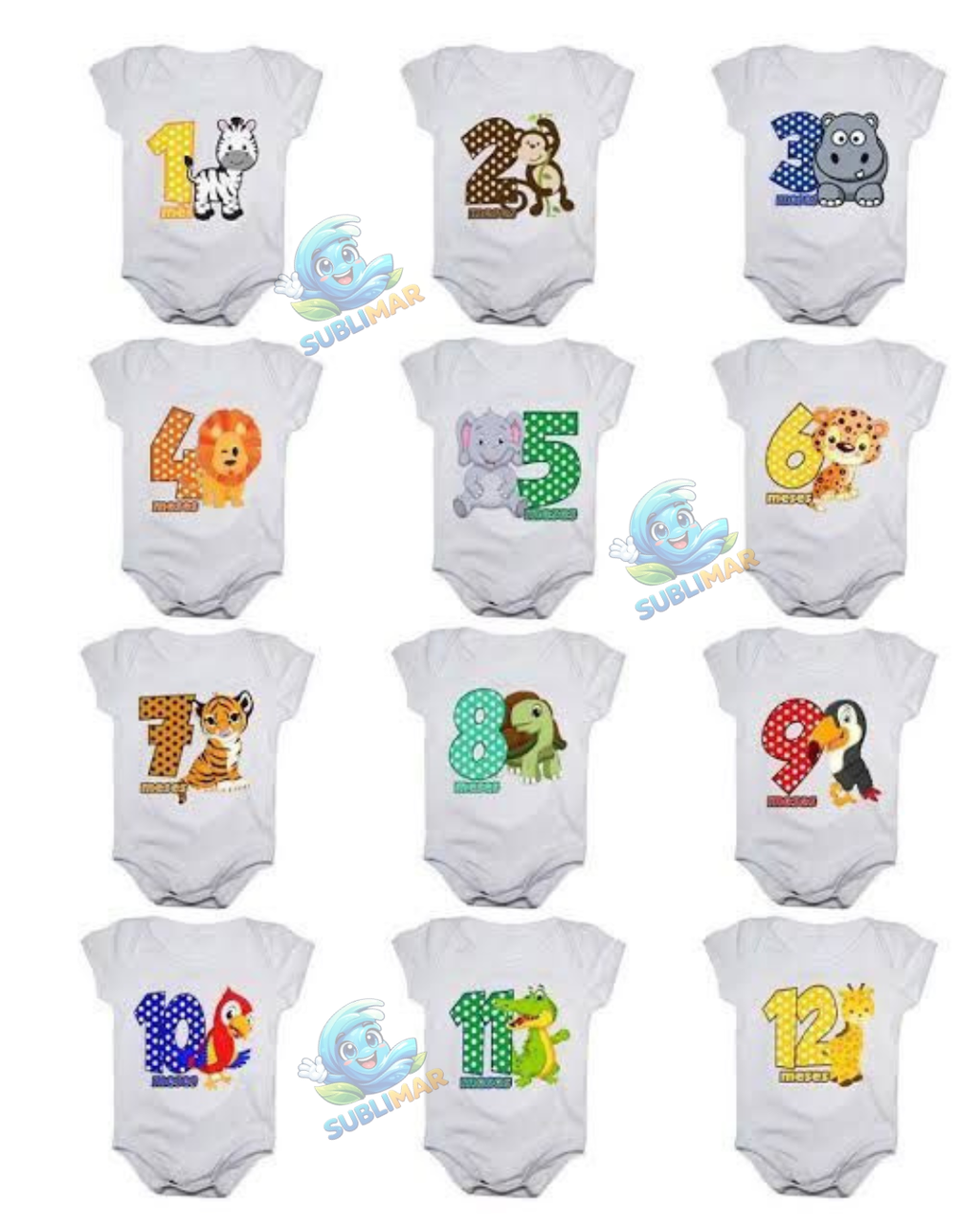 PACK BODYS 12 MESES